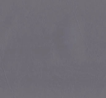 Thumbnail 19