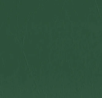 Thumbnail 29