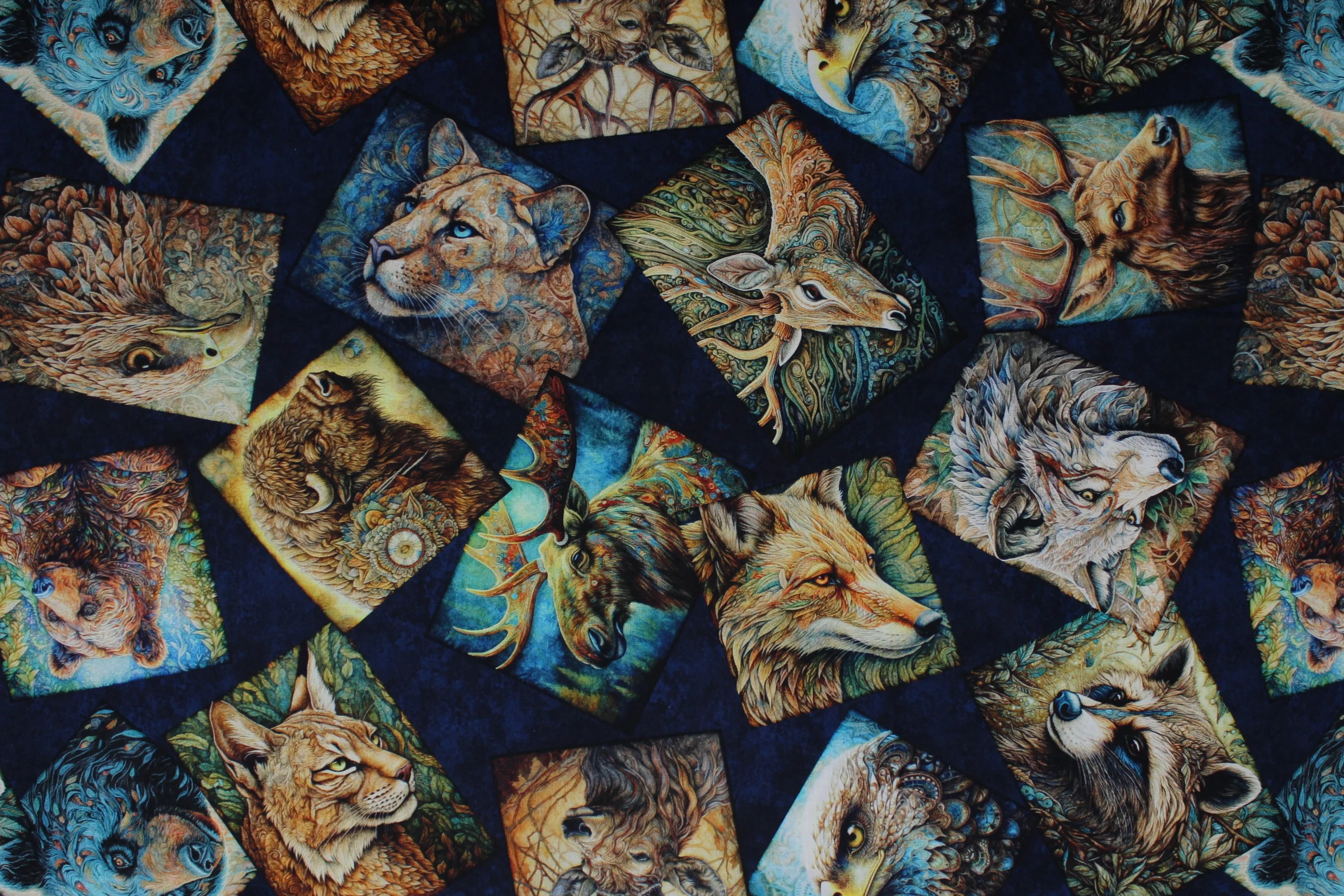 Thumbnail 6