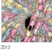 Thumbnail 11