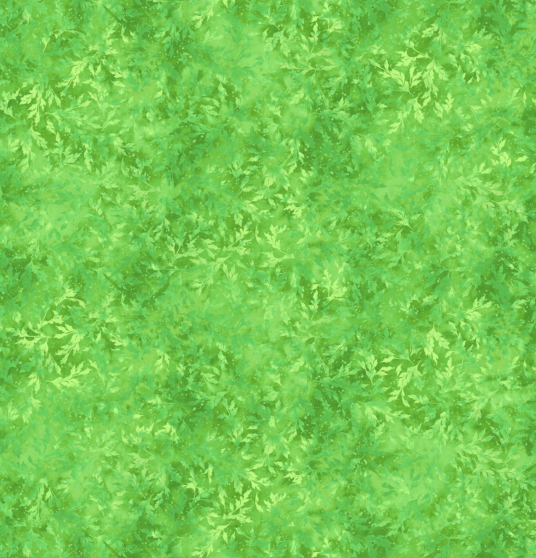 Thumbnail 17