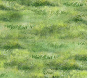 Thumbnail 24
