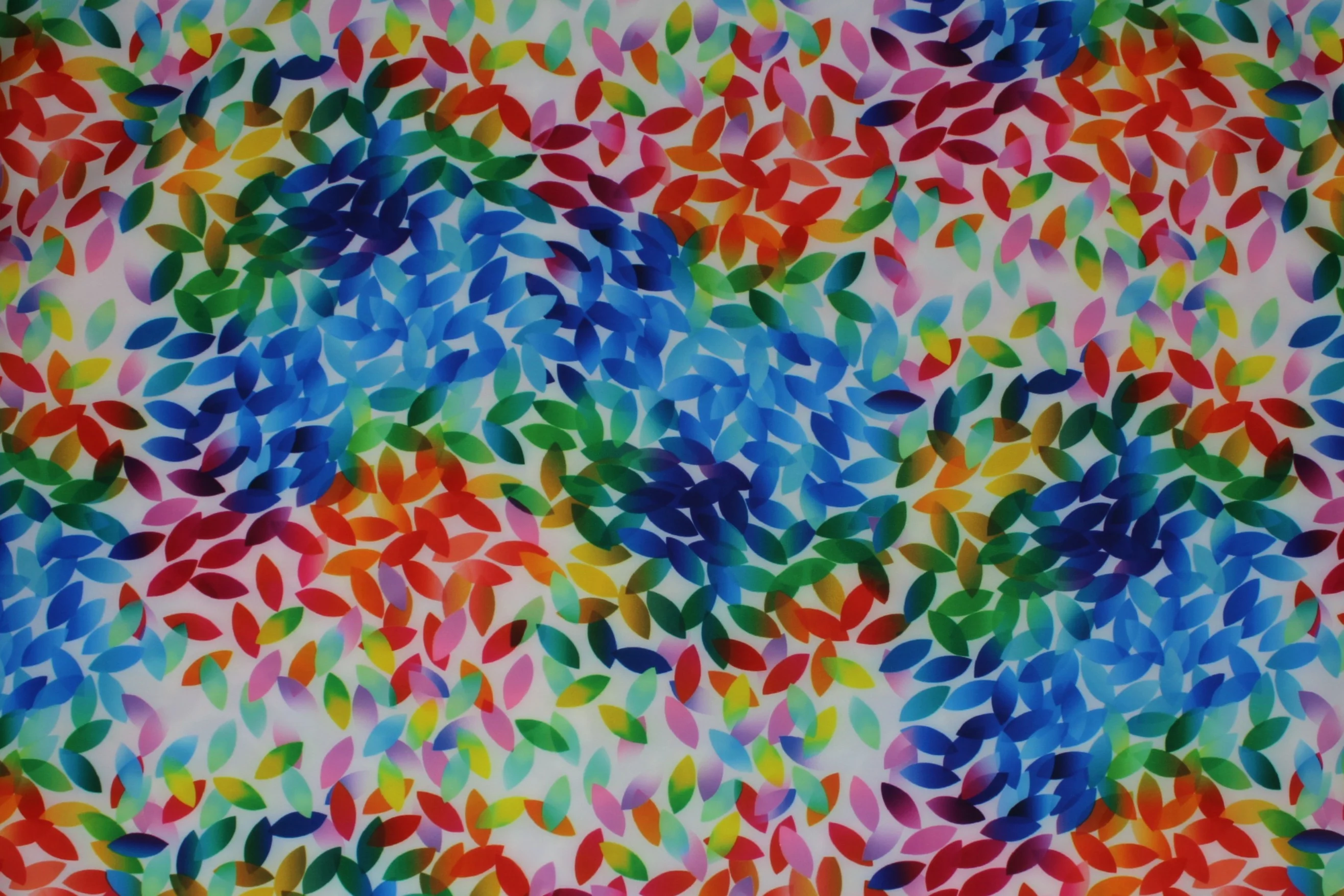 Thumbnail 15