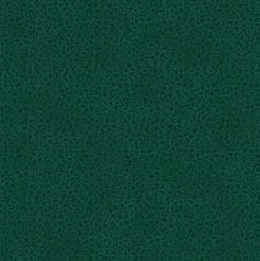 Thumbnail 62